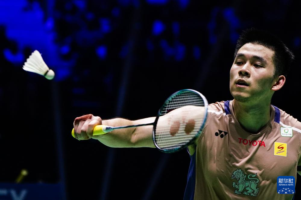 不仅展示了 不仅展示了