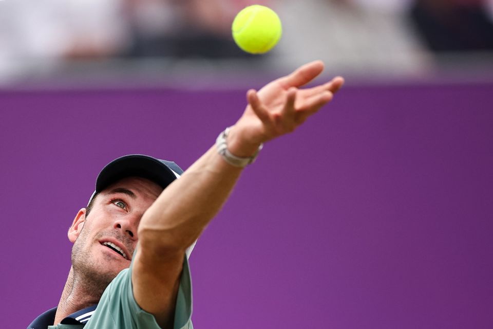 乐部在转会 乐部在转会